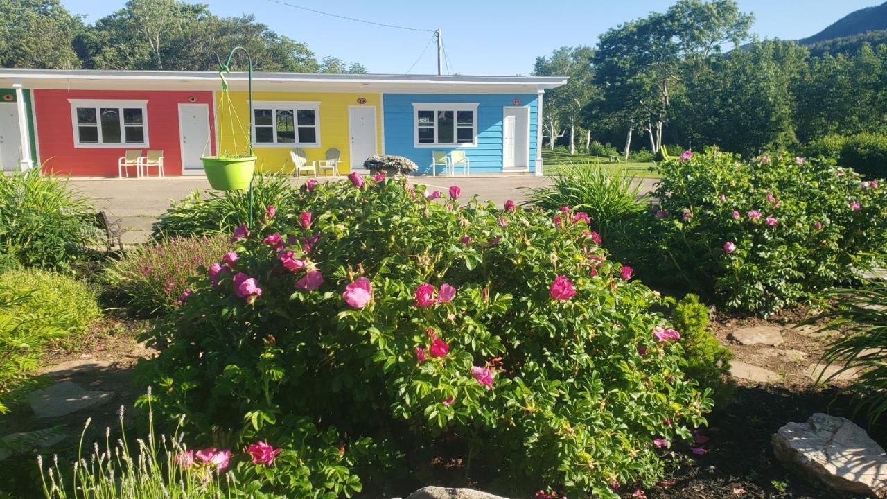 Cornerstone Motel Chéticamp Extérieur photo